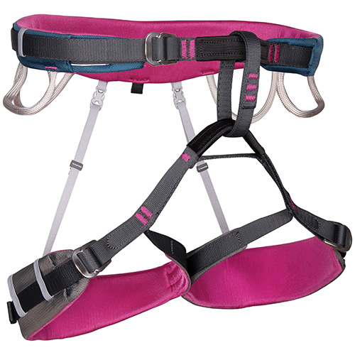 Harnesses