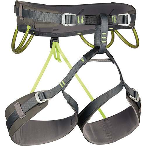 Harnesses